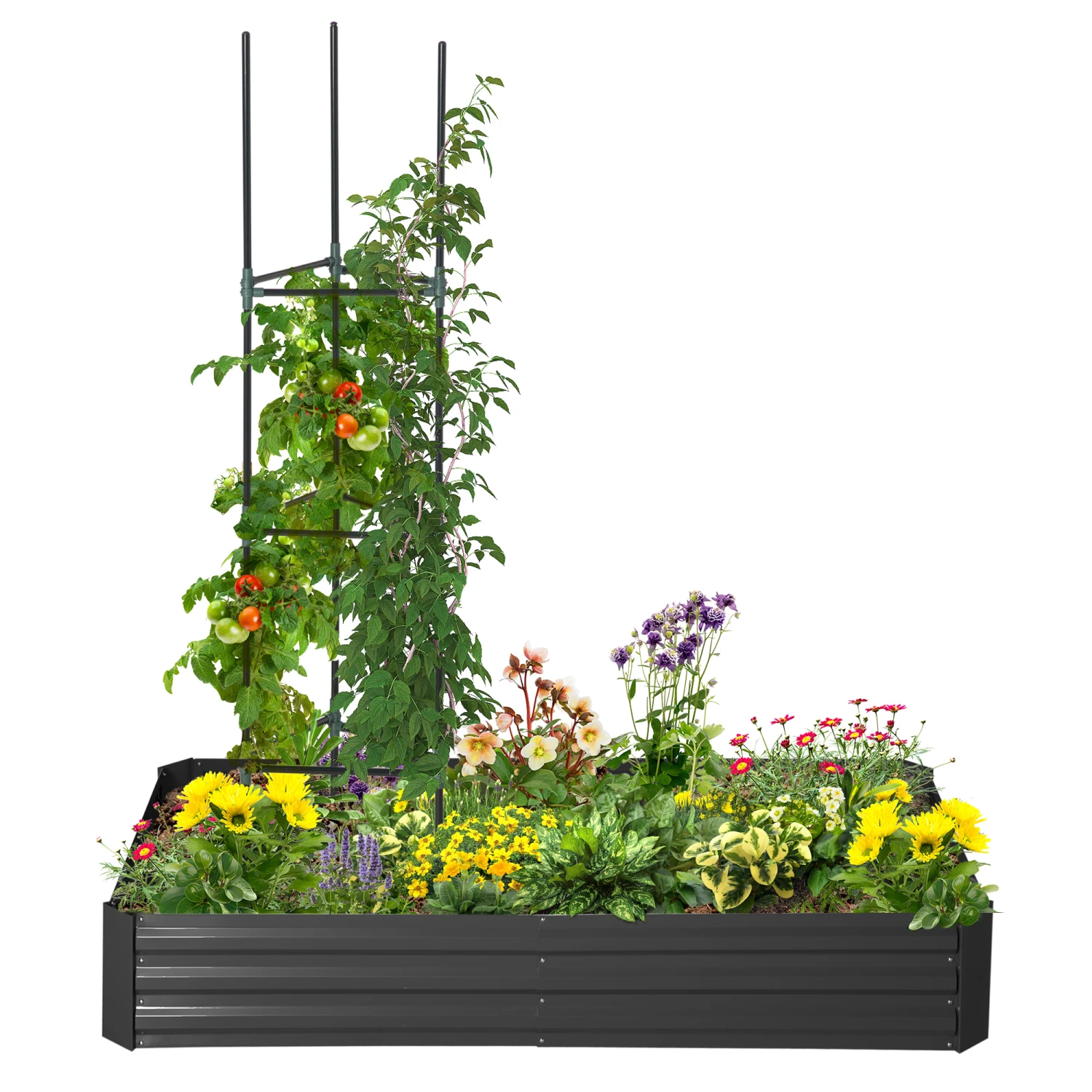 Outsunny 5.9' X 3' X 1' Raised Garden Bed With Support Rod, Steel Frame Elevated Planter Box, Black 1 Outsunny 5.9' X 3' X 1' Raised Garden Bed With Support Rod, Steel Frame Elevated Planter Box, Black