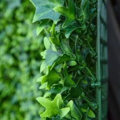 Outsunny 12 PCS 20" X 20" Artificial Boxwood Wall Panel Sweet Potato Leaf Privacy Fence -Outsunny xIabef17ed37bafa1